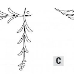 CMT Fraise à Graver RCS-605 Gabarit De Meuble/tiroir - Coin Cascade C 3 Pièces